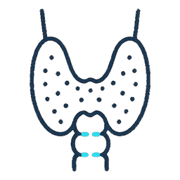 Endocrinology